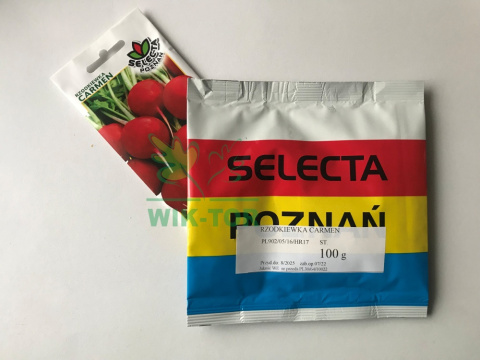 Rzodkiewka Carmen 100g