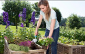 Zestaw małych narzędzi 8964 Gardena