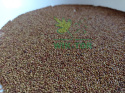 Lucerna 500g