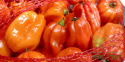 Nawóz granulowany do pomidorów 1kg + zapinki GRATIS