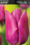 Tulipan Lilac Cup fioletowy 10szt