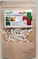 Zapinki biodegradowalne do pomidorów 50szt Sumin