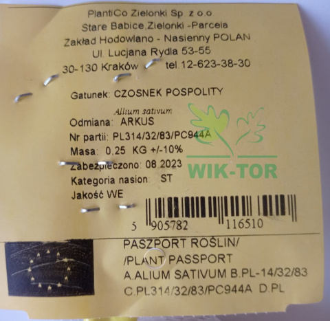 Czosnek jadalny ozimy 'Arkus' 250g