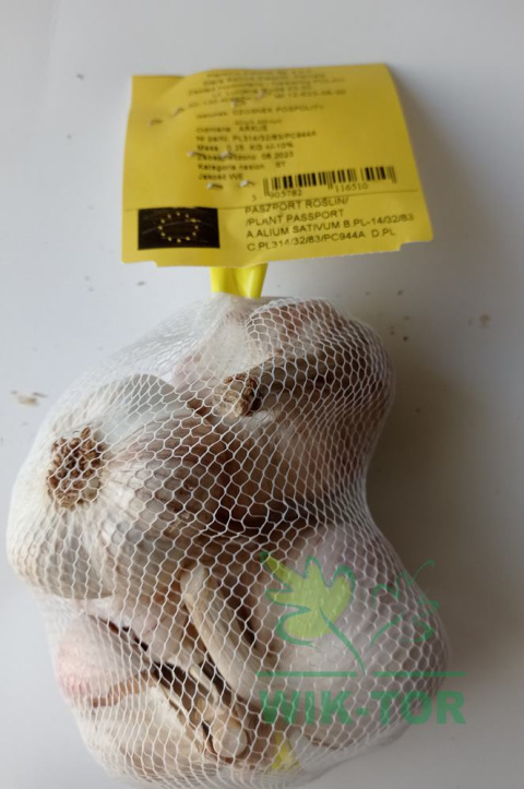 Czosnek jadalny ozimy 'Arkus' 250g