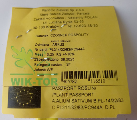 Czosnek jadalny ozimy 'Arkus' 250g