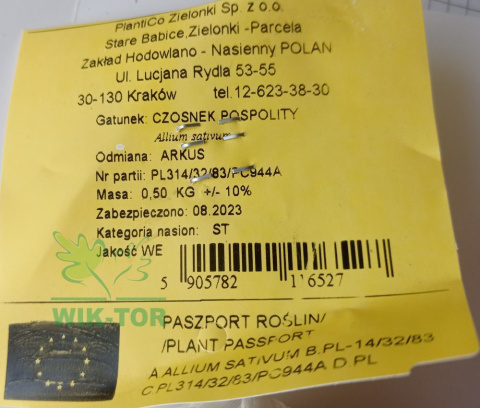 Czosnek jadalny ozimy 'Arkus' 500g