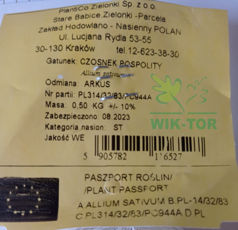 Czosnek jadalny ozimy 'Arkus' 500g