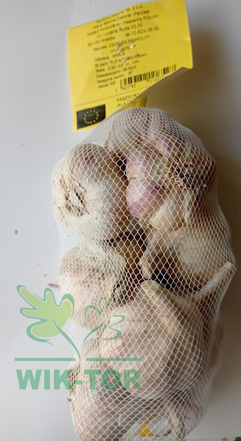 Czosnek jadalny ozimy 'Arkus' 500g