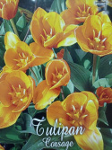 Tulipan Corsage 5sztuk