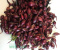 Cebula dymka czerwona 'Scarlet' 1kg