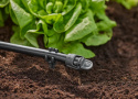 Korek zamykający 13 mm (1/2") 13205 Micro-Drip