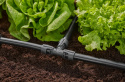 Rozdzielacz T 13mm 1/2" 13201 Micro-Drip