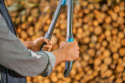 Sekator nożyce do gałęzi EnergyCut Pro S 12050