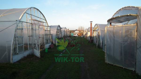 Siarka granulowana 3kg do zakwaszania podłoża i gazowania szklarni
