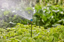 Dysza zraszająca wielofunkcyjna 13324 Micro-Drip