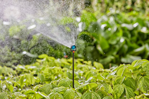 Dysza zraszająca wielofunkcyjna 13324 Micro-Drip