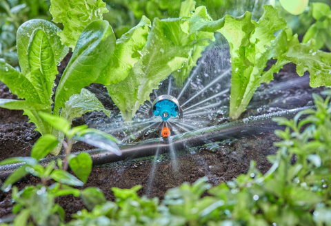 Dysza zraszająca wielofunkcyjna 13324 Micro-Drip