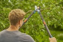 Sekator nożyce teleskopowe do gałęzi TeleCut Pro L 12041