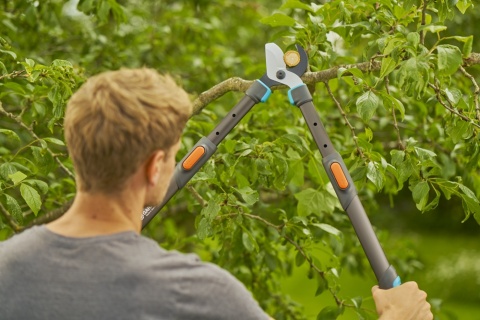 Sekator nożyce teleskopowe do gałęzi TeleCut Pro L 12041