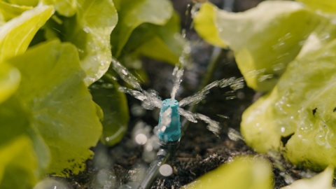 Dysza zraszająca rzędowa do małych powierzchni 13316 Micro-Drip