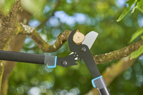 Sekator nożyce do gałęzi EnergyCut Pro L 12051