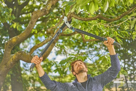 Sekator nożyce do gałęzi EnergyCut Pro L 12051