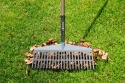 Grabie szerokie 43cm 17105 NatureLine