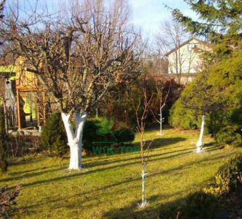 Pasta przeciw obgryzaniu drzew 1l Sumin