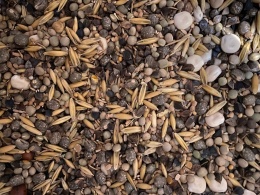 Mieszanka poplonowa 1kg