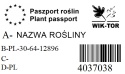 Śliwa wiśniowa Nigra